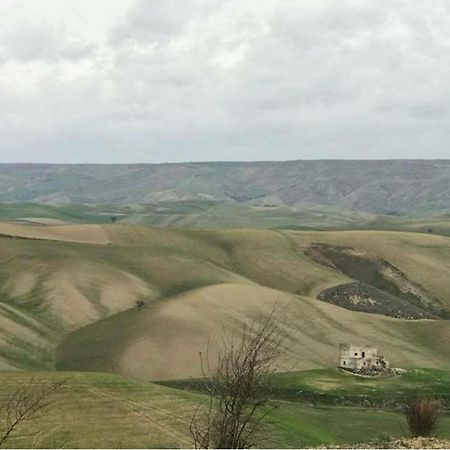 B&B Mantegna Irsina Mt Dış mekan fotoğraf