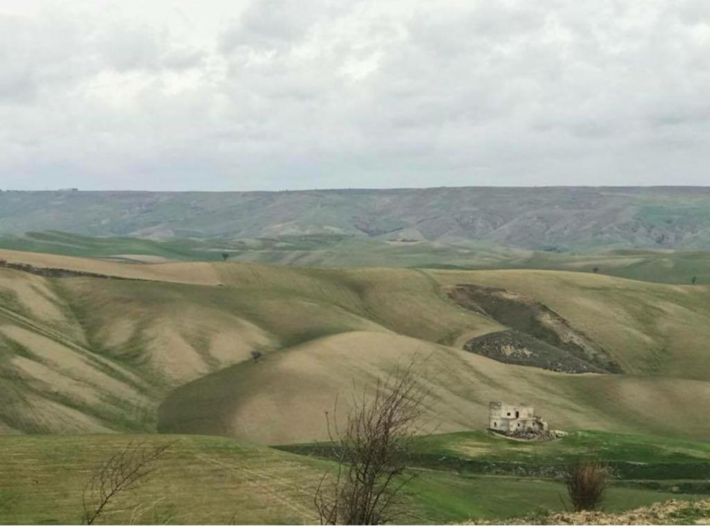 B&B Mantegna Irsina Mt Dış mekan fotoğraf